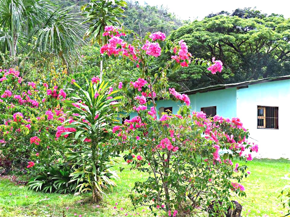 パンタ笛吹カナイマ村